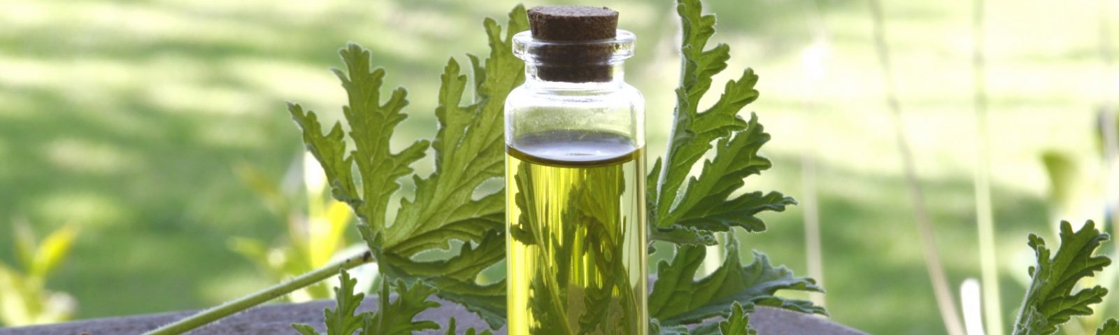 Hair oils with essential oils