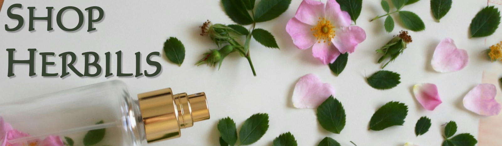 Shop Herbilis